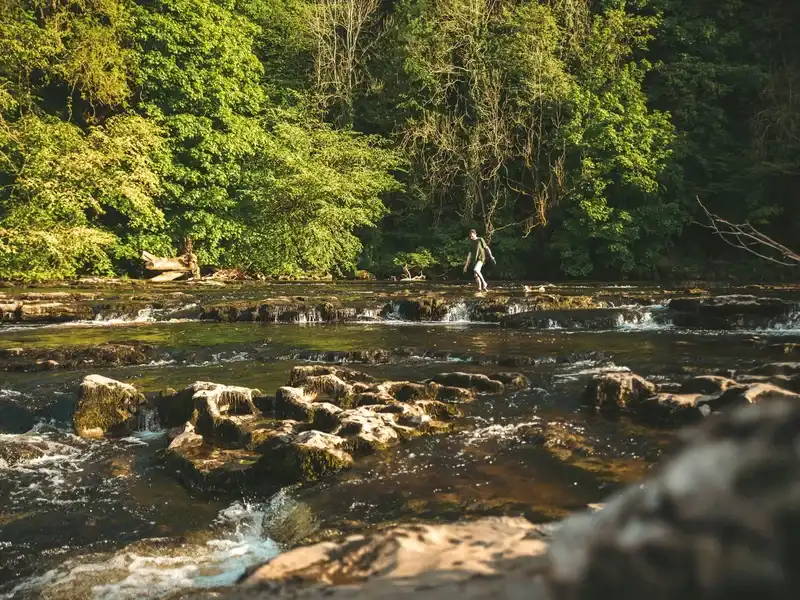 Aysgarth Falls